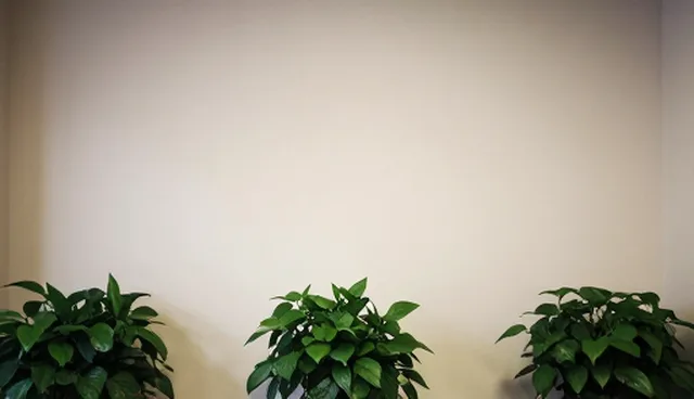 客户沟通在使用与维护中的实际应用与优化